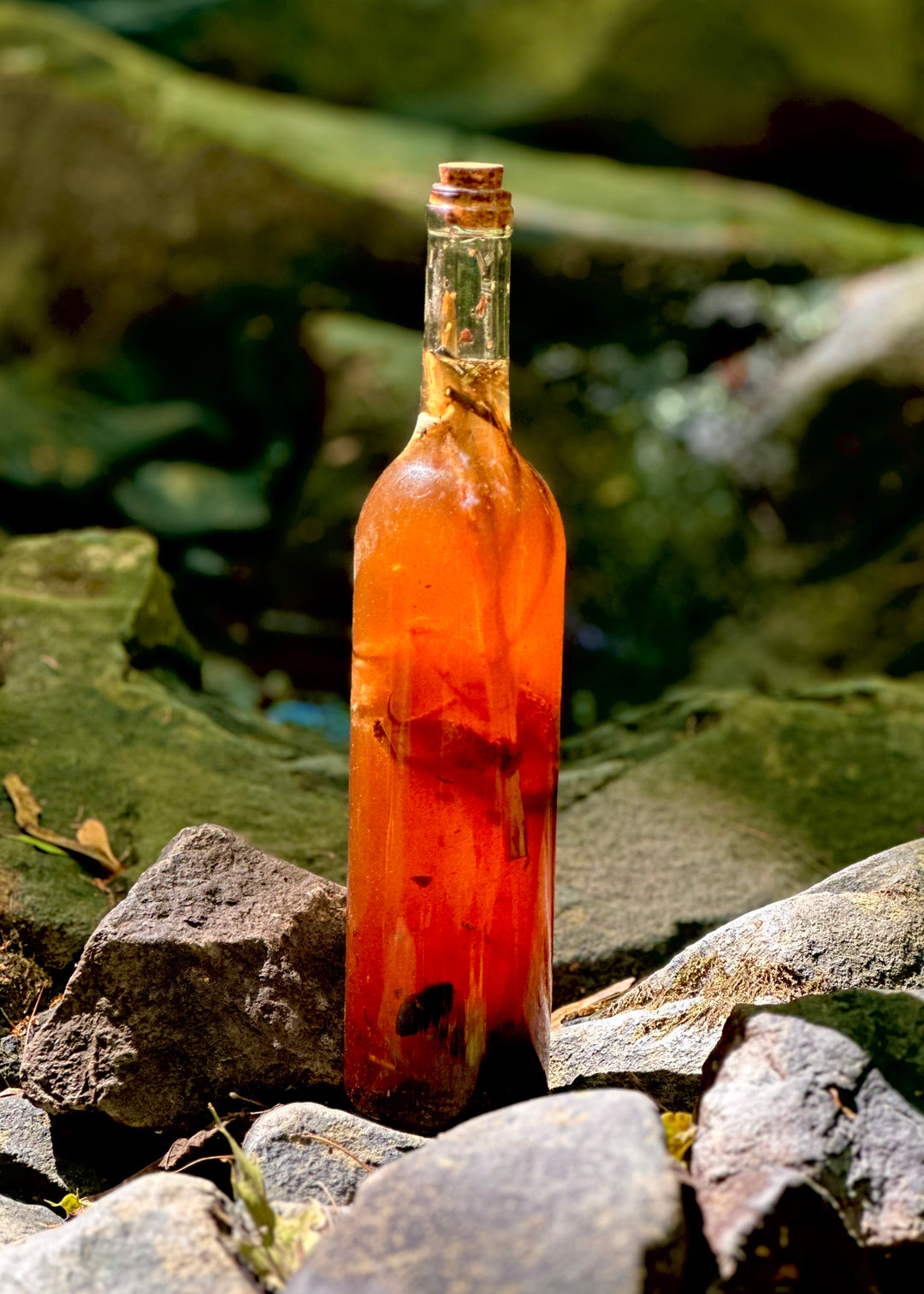 A Fly to Honey Oil