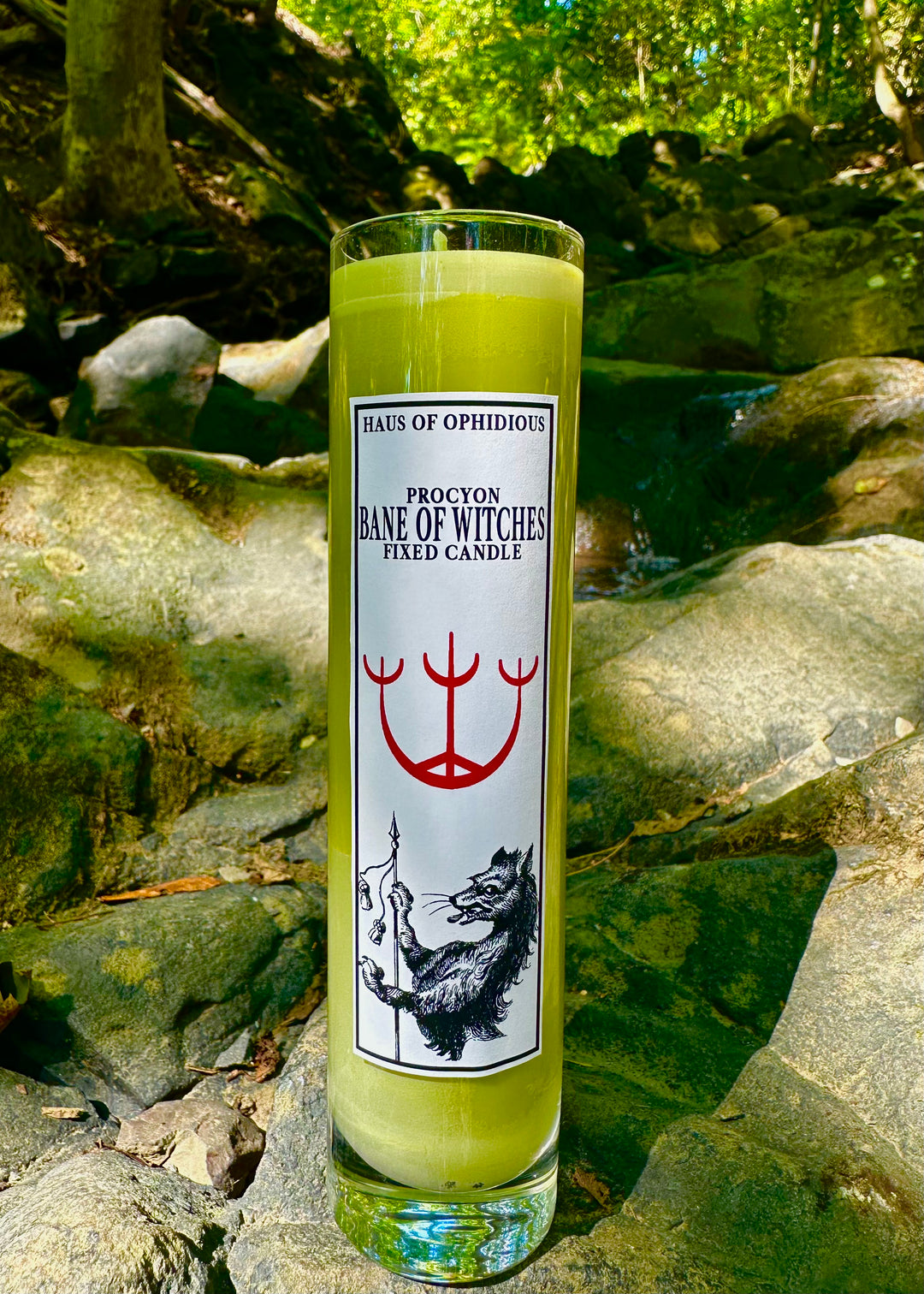 Bane of the Witches Candles