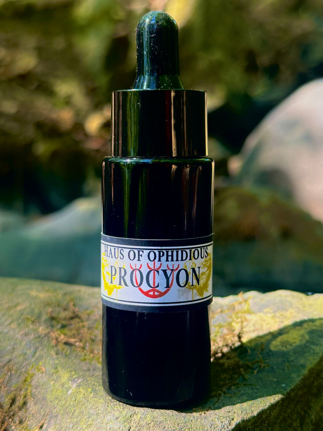 Procyon Oil
