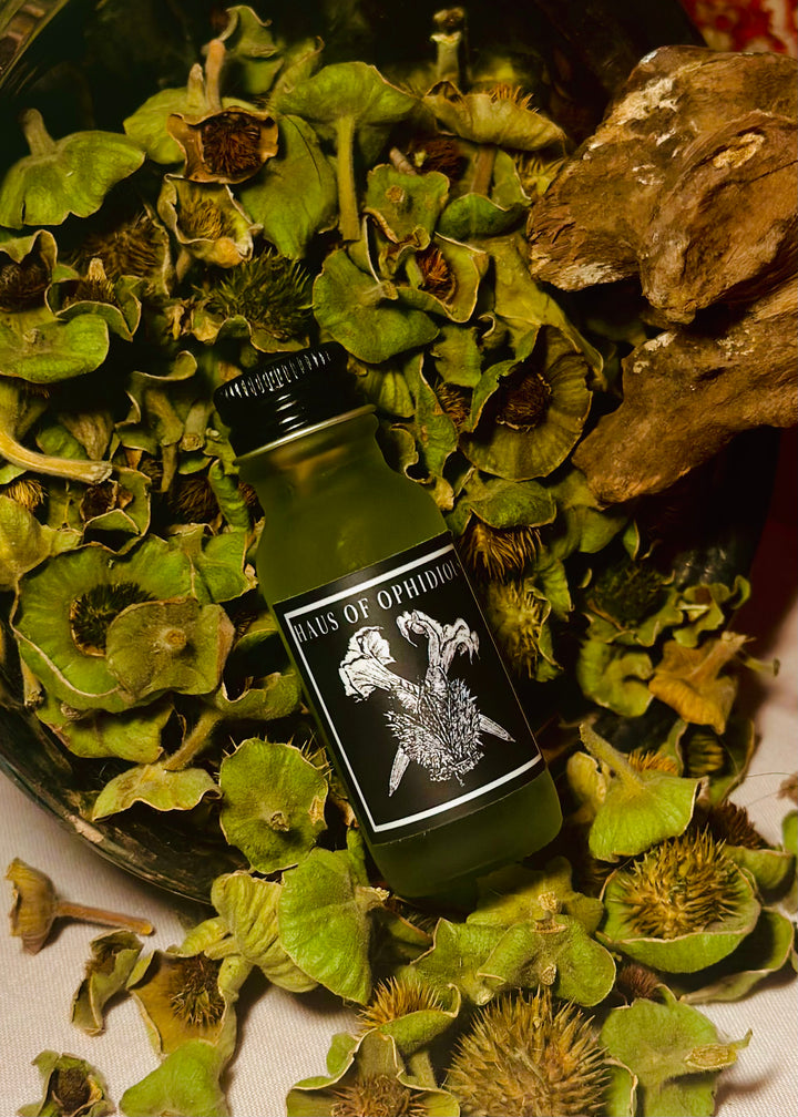 Datura Oil