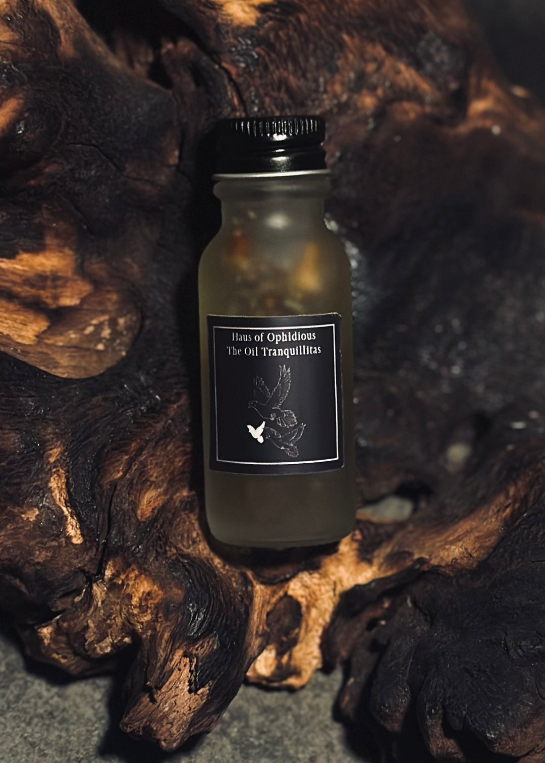 The Oil Tranquillitas