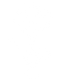 Haus Of Ophidious LLC