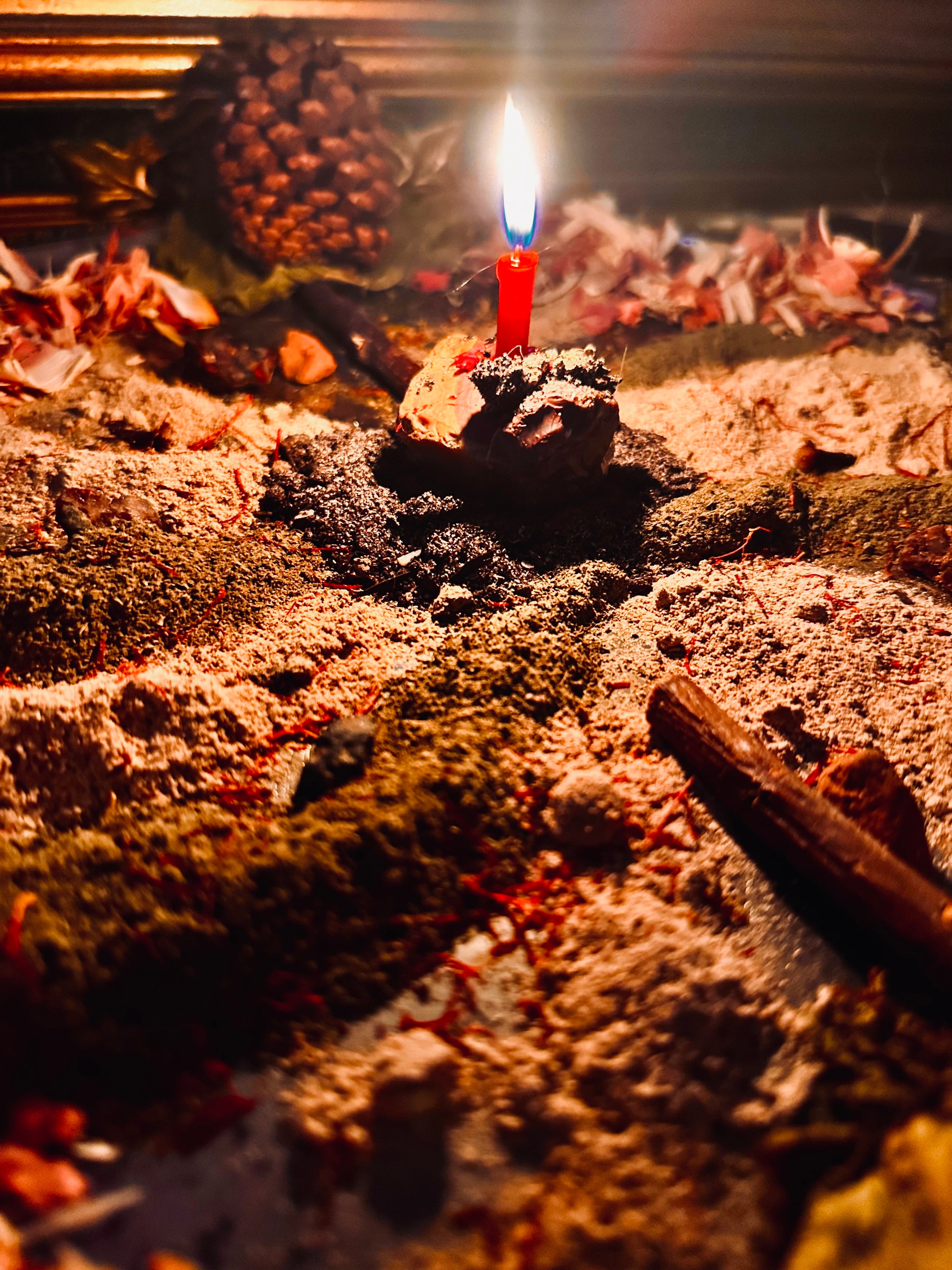 Call of the Bacchanal