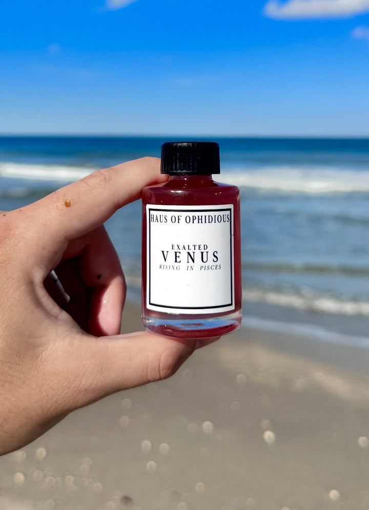 Venus Rising in Pisces Oil