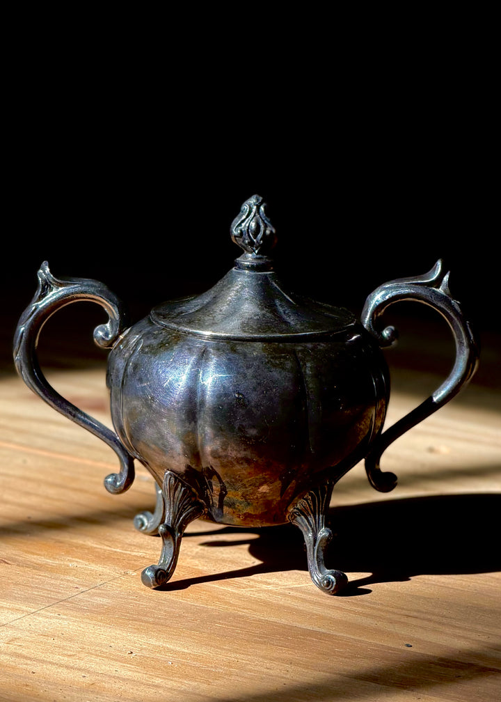 Regulus Fetiche Vessel