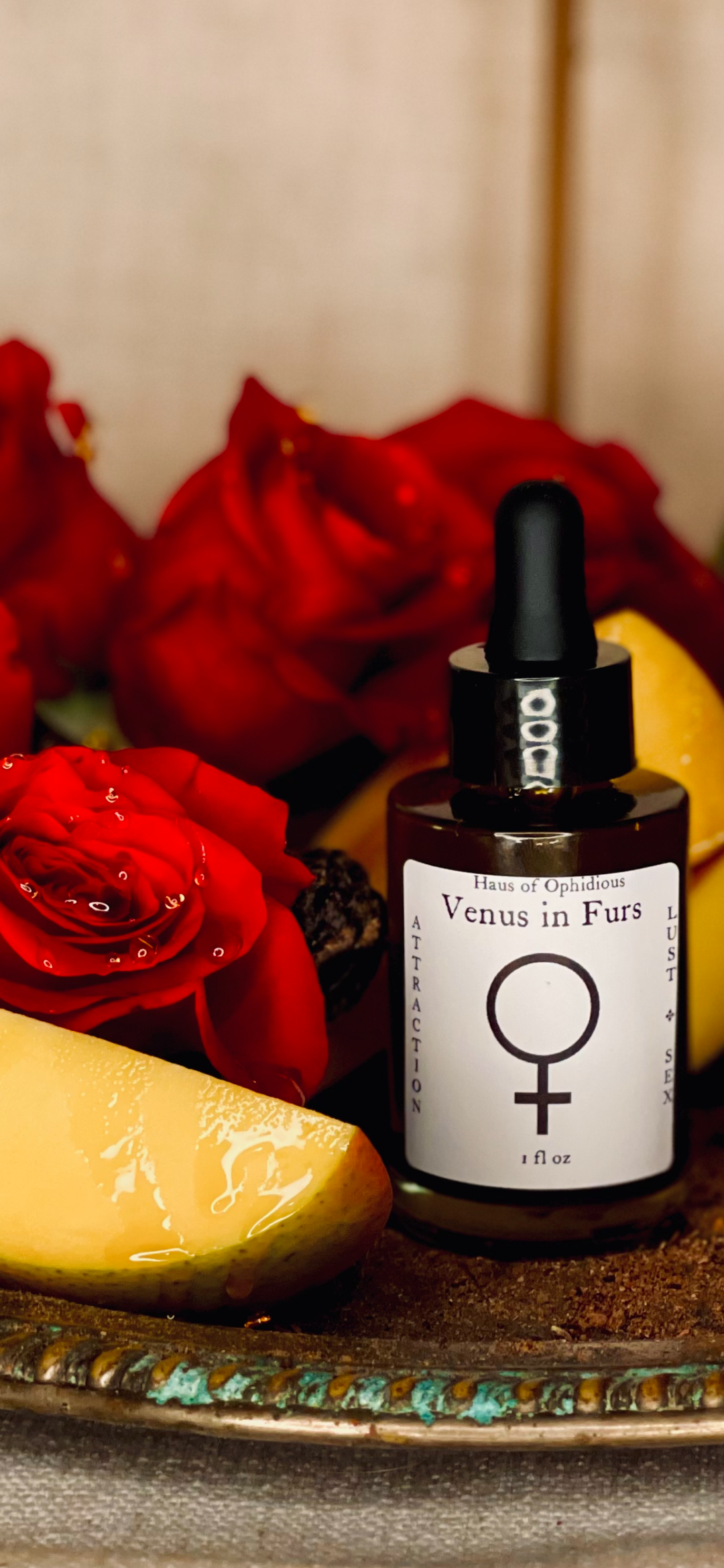 Venus in Furs oil