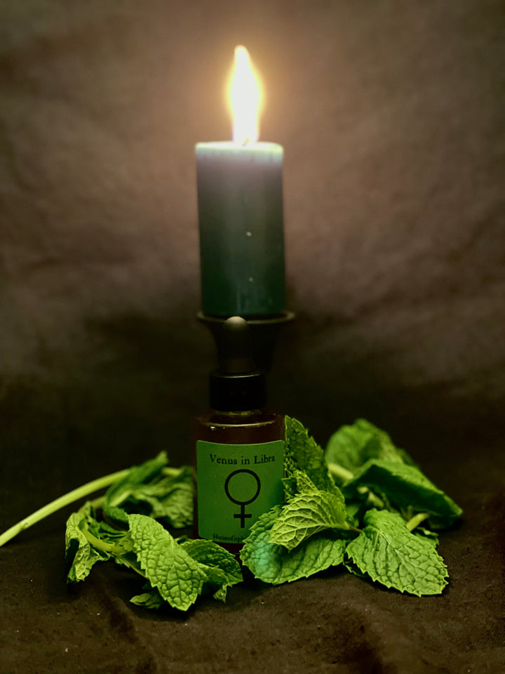 Venus in Libra Oil